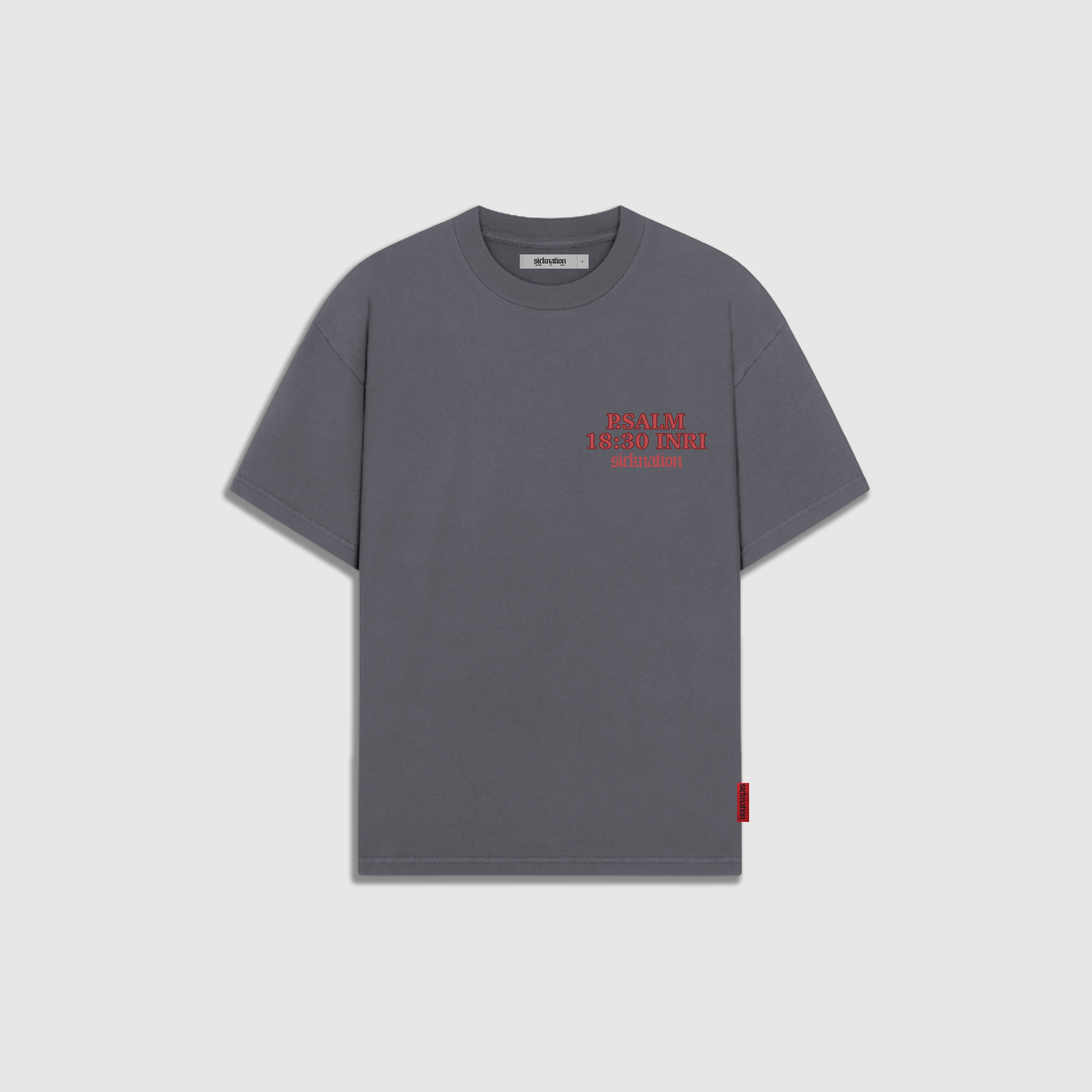 Camiseta Jesus Piece Gris